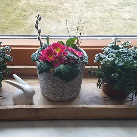 Vakantiehuis Silke Knittelfeld